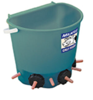 Calf feeder bucket